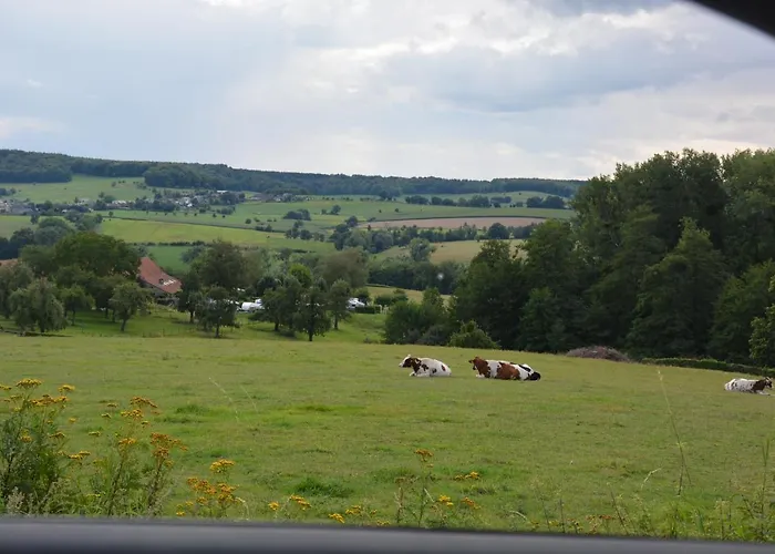 Rosa Дом отдыха