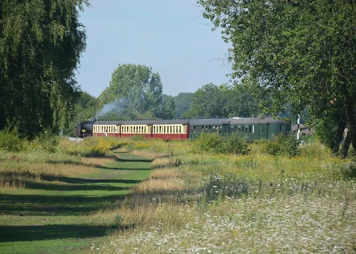 Rosa Дом отдыха *