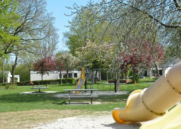 Rosa Симпелвелд