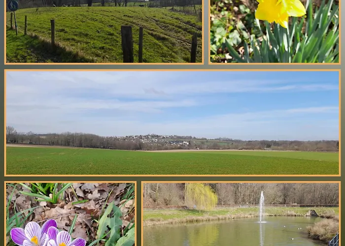 Rosa Holiday home Simpelveld