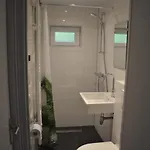 Rosa * 辛佩尔费尔德