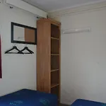 Rosa 辛佩尔费尔德